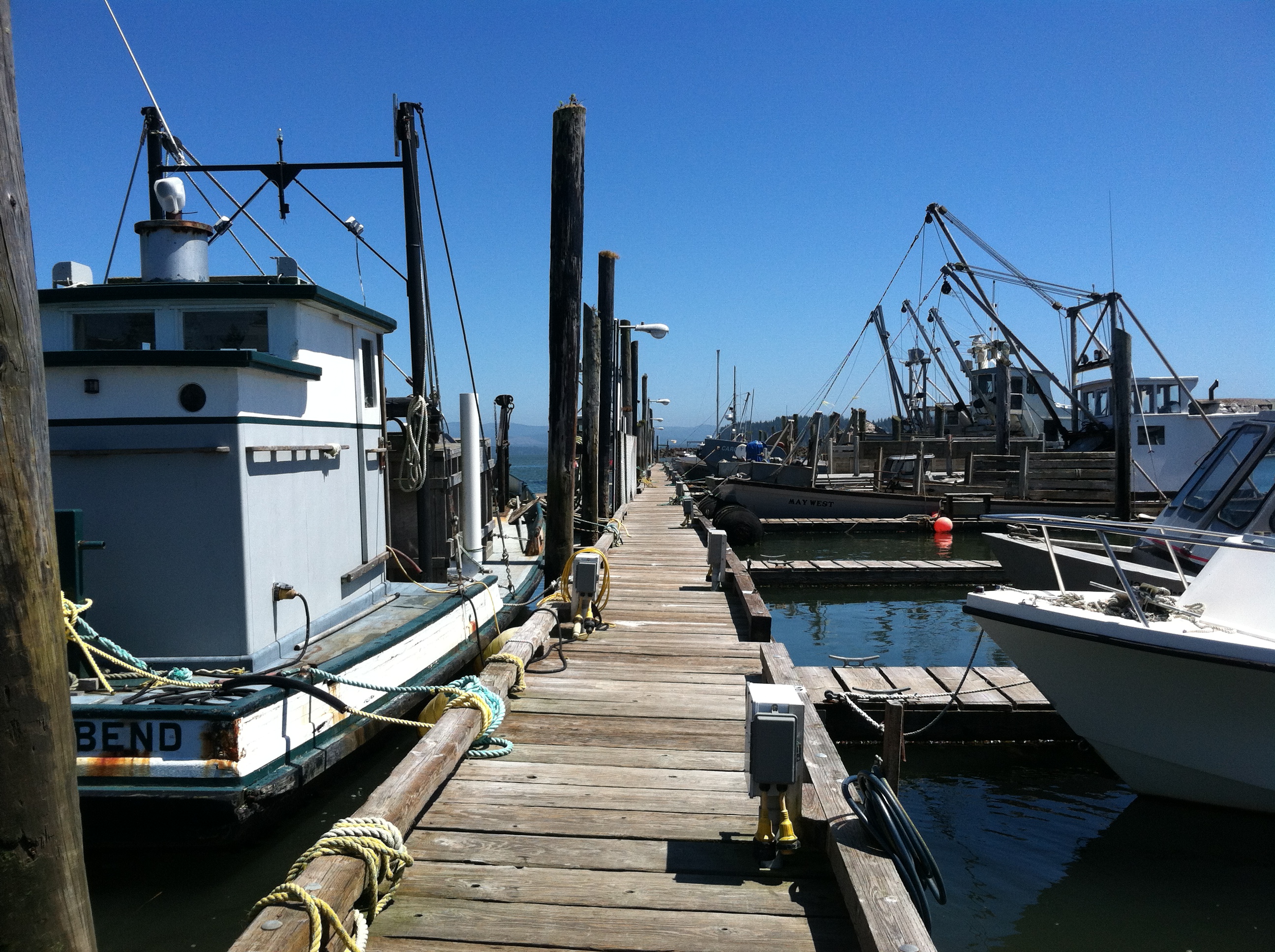 Nahcotta Marina, photo credit DNR-Lassiter